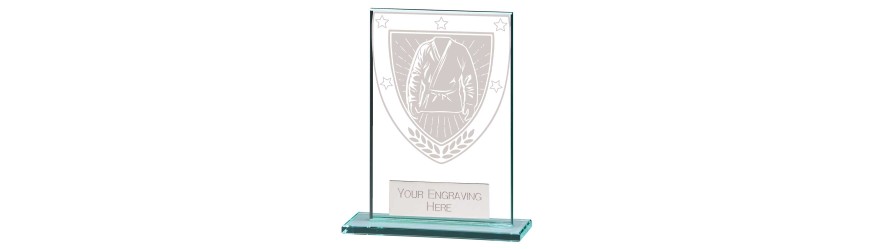 MILLENNIUM MARTIAL ARTS GLASS TROPHY - 6 SIZES - 8CM - 18CM MILLENNIUM MARTIAL ARTS GLASS TROPHY - 6 SIZES - 8CM - 18CM